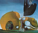 My Birth Paintings - The Birth of Liquid Desires by Salvador Dali
